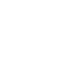 Blank Slate Technologies logo