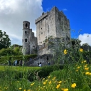 Blarney Castle logo