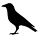 Blaydon Rfc Ltd logo