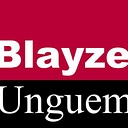 Blayze Unguem Ltd logo