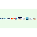 Blaze Video Inc [US] logo