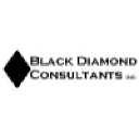 Black Diamond Consultants logo