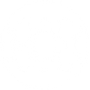 BLEASS logo