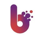 Blinx Solutions logo
