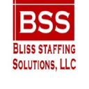 Bliss Staffing Solutions Llc logo