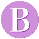 Logo for blitsy.com