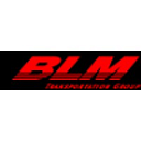 BLM Group