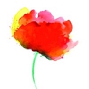 Blomsterboda Sverige AB logo