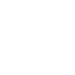 Blonde Velvet Retail INC. logo