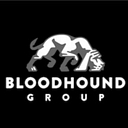 The Bloodhound Branding Group logo