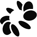 Bloom Security logo
