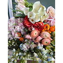 Bloombar Flower Market