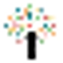 Bloom Therapy Center