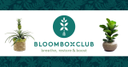 Bloombox Club FR logo