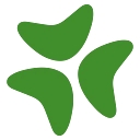bloomerang.co icon