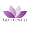 Bloomerang Solutions logo