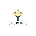 Bloomtree Business Advisors Private Limited logo