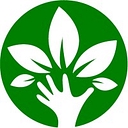 Bloomwell Group GmbH logo