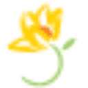 Blossom Bariatrics logo