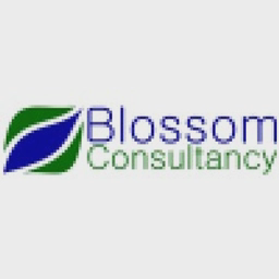 BLOSSOM CONSULTANCY LIMITED logo