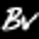 Blossom Valley Collision logo