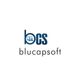 Blucapsoft LLC logo