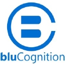 Blucognition logo