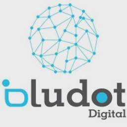 BluDot Digital Limited logo