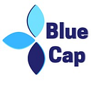 Blue Cap Foundation Inc logo