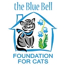 BLUE BELL FOUNDATION FOR CATS