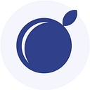The Blueberry Academy Limited logo
