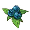 Blueberry Hill Rehabilitation and Healthcare Center logo