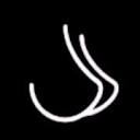 Blueberry Studios logo