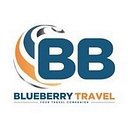 Blueberry Travel logo