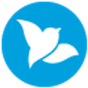 Bluebird logo