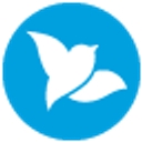 Bluebird By American Express logo