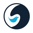 Bluebird It Solutions Inc. logo