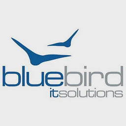 Bluebird IT Solutions Limited logo