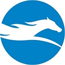 Blue Blaze Associates logo