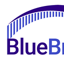 BlueBridge Networks