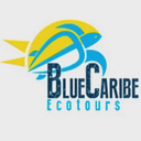 Blue Caribe Tours ES logo