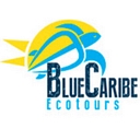 Blue Caribe Tours ES logo