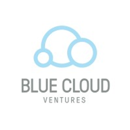 bluecloudventures.com logo