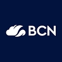 BlueCoffee Networks Ltd