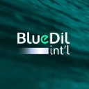 Bluedil International logo