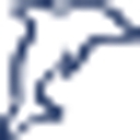 BlueDolphin.com Magazines logo