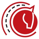 Blue Dot Solutions logo