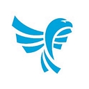 Blue Eagle Consulting, Inc logo