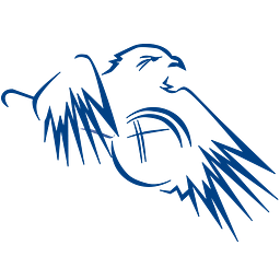 Blue Eagle Investigations logo
