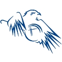 Blue Eagle Investigations logo